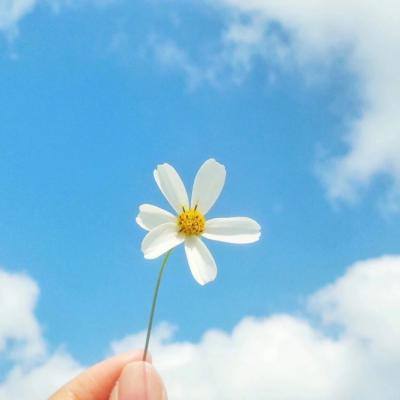 金沙集团1862cc成色产品截图